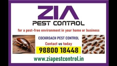 Effective Cockroach & Bed Bug Pest Control | Up to 30% Off Services